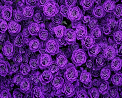 7x5ft Pink Rose Floral Flower Wall Backdrop Girls Wedding Birthday Bridal Shower Kids Portrait Background Photoshoot Cake Table Tea Party Photoshoot Decorations Photo Studio Props - 7X5FT / Purple