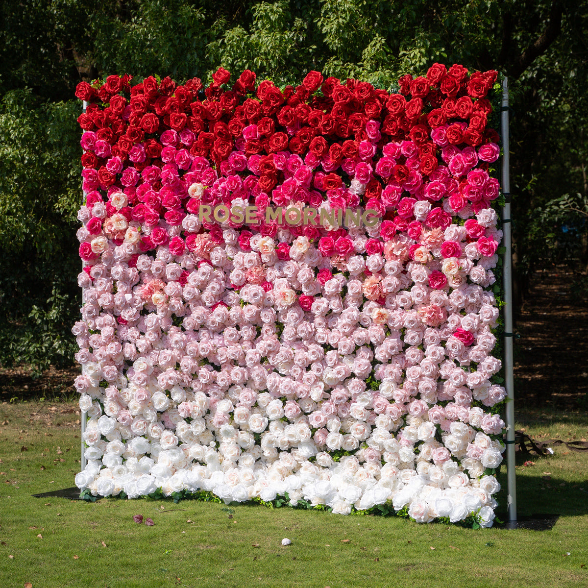 Buuz：3D Fabric Artificial rolling up curtain flower wall Free Shipping