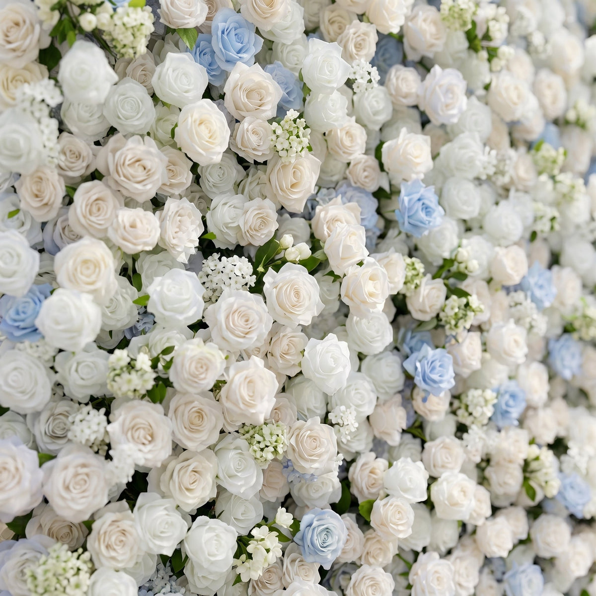 Fiorelle:5D Dusty Baby Blue & Ivory White Silk Rose Flower Wall Roll-Up Fabric Backdrop for Romantic Weddings & Proposals Free Shipping