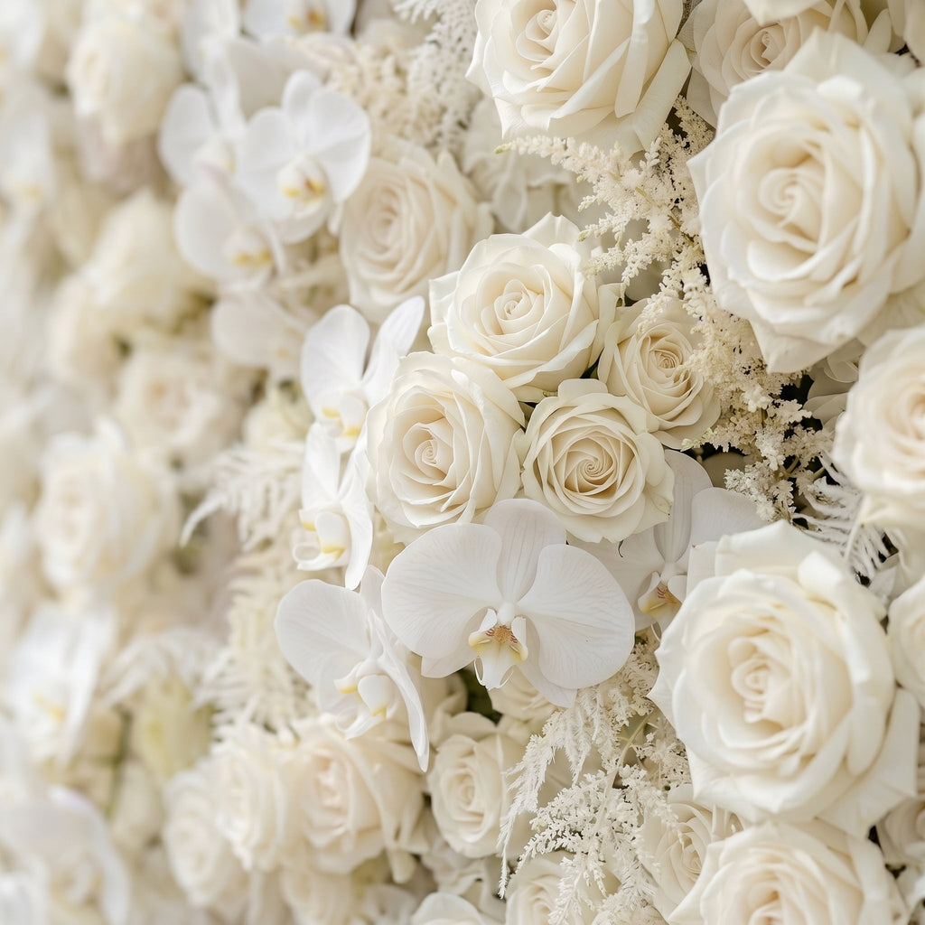 Junbelle:Elegant 5D White Floral Wall with Pampas Grass Accents Roll-Up Backdrop for Whimsical Bridal Showers | Wedding & Celebration Collection | Free Shipping