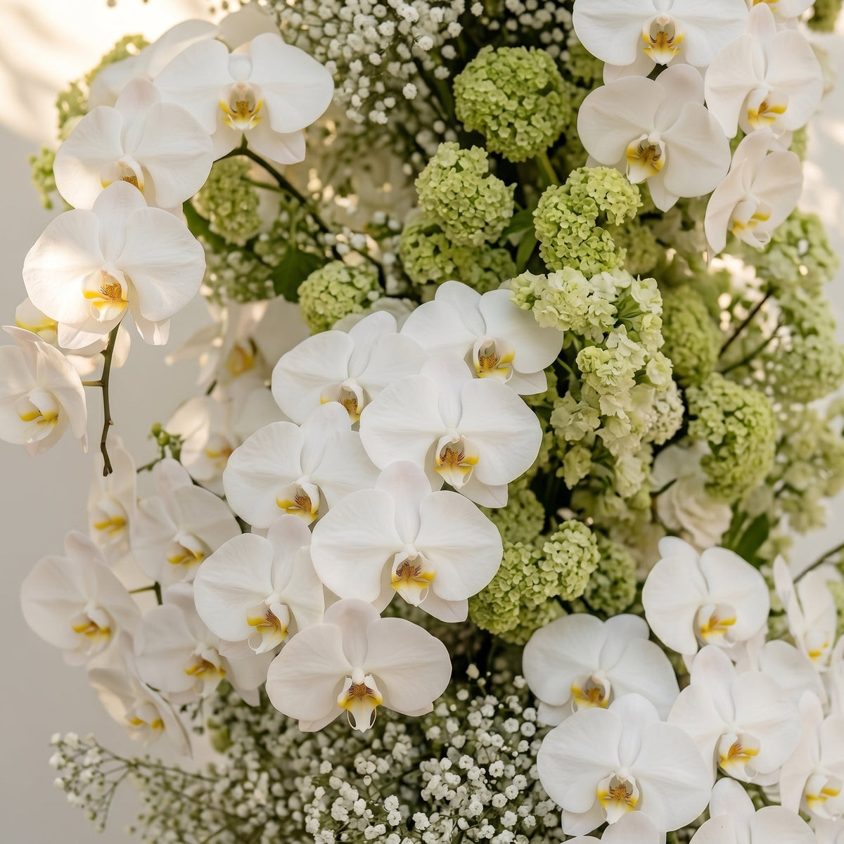 Maellyra:Ivory White Orchid & Fresh Green Silk Floral Ground Horn Arch Arrangement with Soft Sorelia & Cascading Lush Greenery for Romantic Minimalist Weddings & Garden Event Decor Frame Included