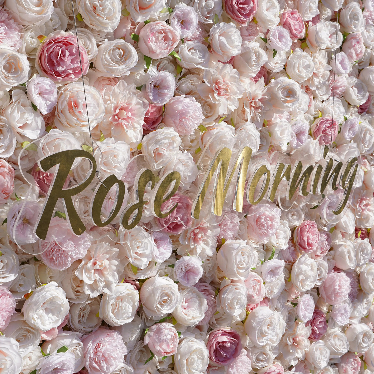 Miss Bella：3D Fabric Artificial rolling up curtain flower wall Free Shipping