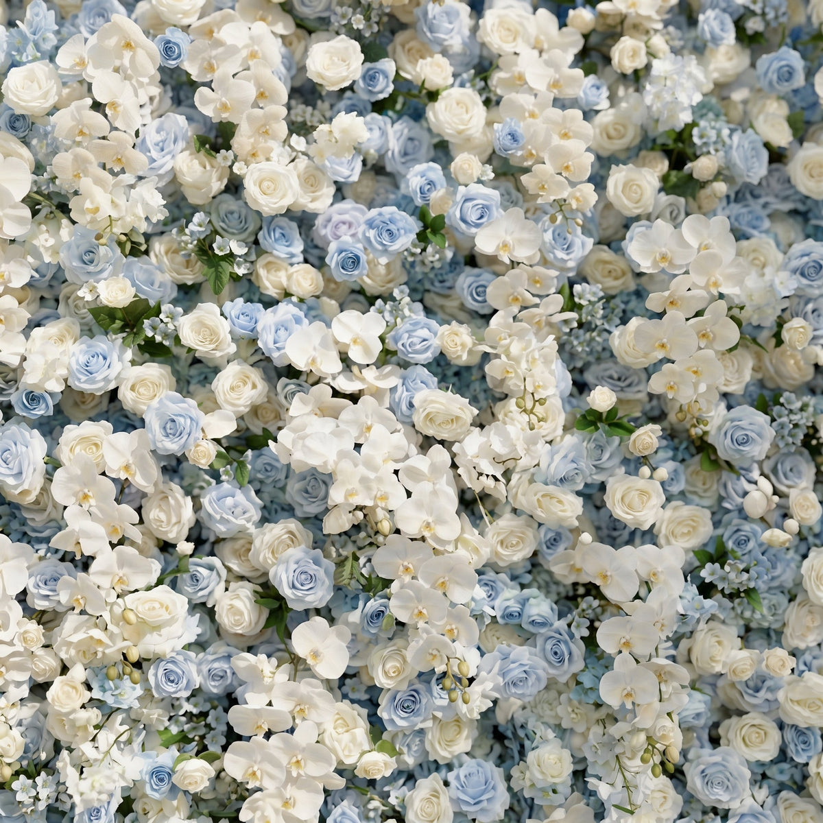 Novdelle:New Luxury 5D Blue&White roses Flower wall for Wedding&Event Decor novdelle detail 1