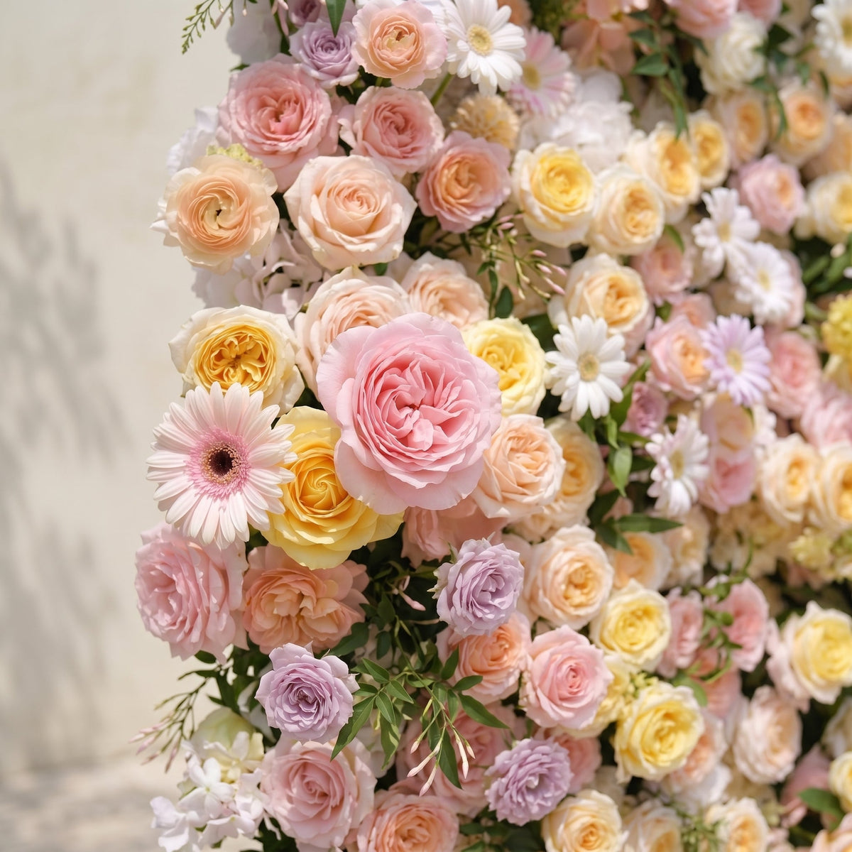 Sirensola:5D Peach Orange, Blush Pink & Ivory White Silk Rose Flower Wall Roll-Up Fabric Backdrop for Romantic Weddings & Proposals Free Shipping