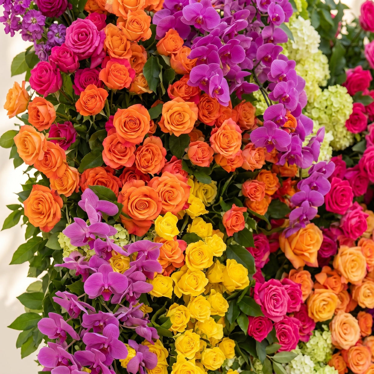 Valnella:5D Rainbow Tropical Mixed Bright Tone Silk Rose Flower Wall Roll-Up Fabric Backdrop for Romantic Weddings & Proposals Free Shipping
