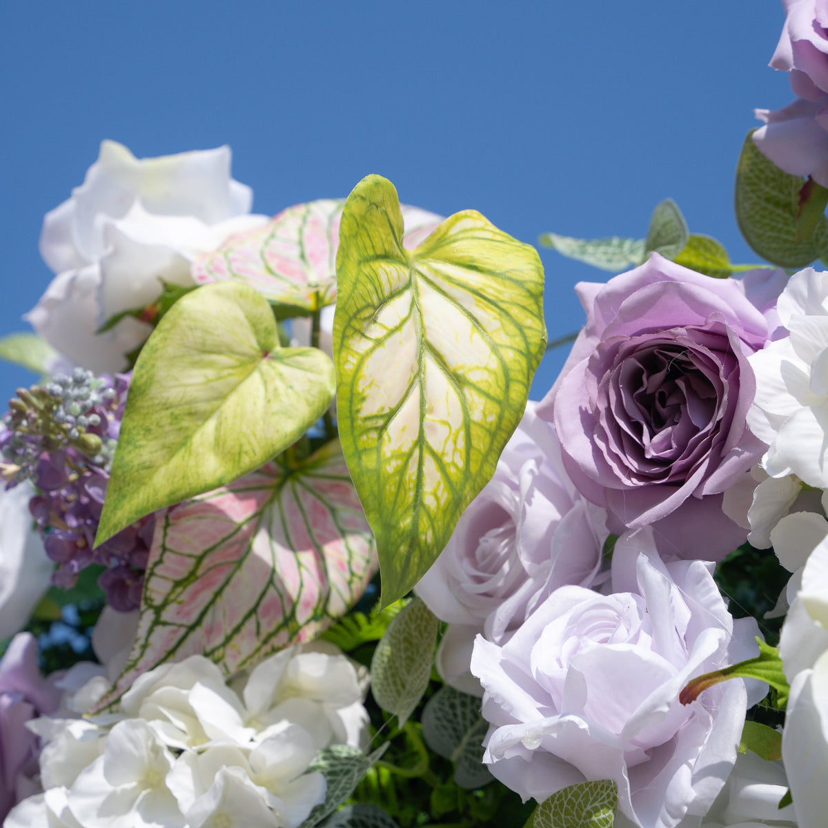 Danielle：5D Fabric Artificial rolling up curtain flower wall (Ready to ship-Only USA) Free Shipping