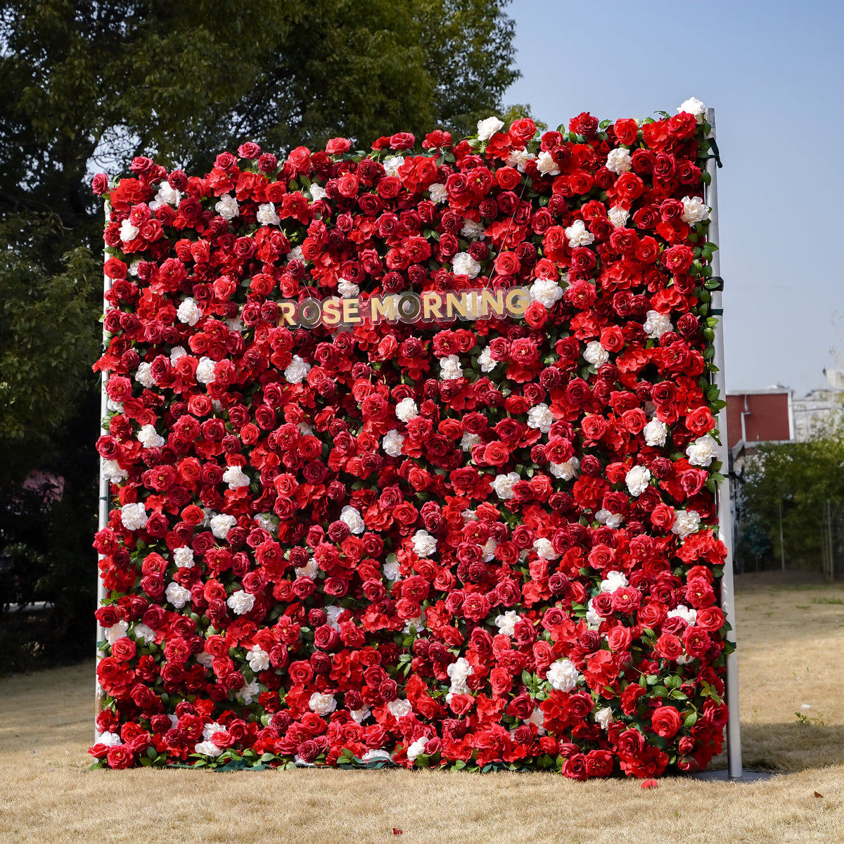 Five： Fabric Artificial zip up curtain flower wall 8ft*8ft Rose Morning