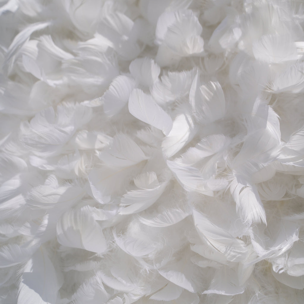 Hilton： Pure White Feather Flower Wall - 5D Fabric Backdrop for Wedding Birthday Party Event Decoration Free Shipping