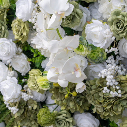 @askmeforaballoon’s Pick Lumi 5D Sage Green & Cream Floral Wall with Hanging Vines for Dreamy Garden Weddings | Wedding & Celebration Collection | Free Shipping