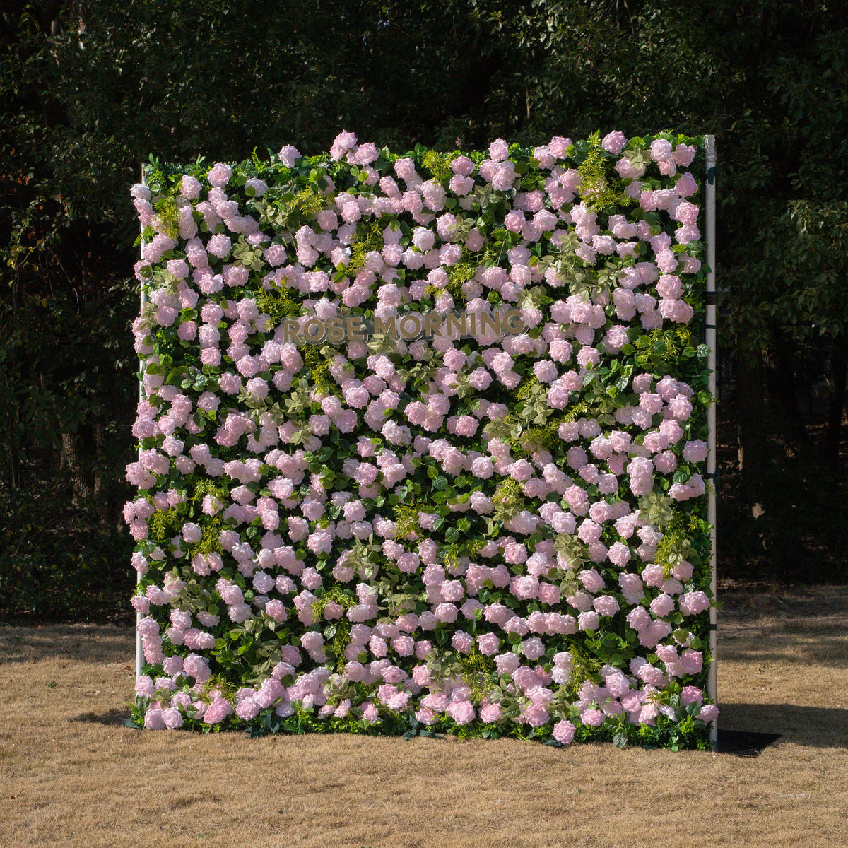 Magica：2026 New Launch-Sun-Activated Color-Changing Rose Flower Wall Backdrop (8×8) — One Wall, Two Looks: White Indoors → Blush Pink in Sunlight Free Shipping