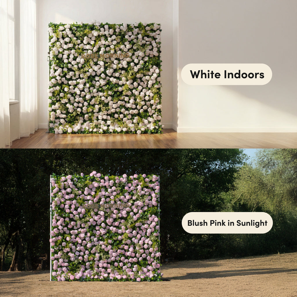 Magica：2026 New Launch-Sun-Activated Color-Changing Rose Flower Wall Backdrop (8×8) — One Wall, Two Looks: White Indoors → Blush Pink in Sunlight Free Shipping