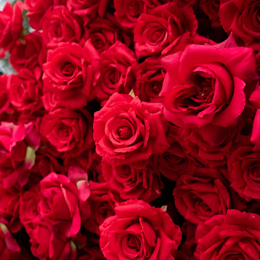 Passion: The Perfect Valentine’s Surprise Luxury 3D Red Rose Passion Heart Wall(6.2ft*6.9ft) Free Shipping