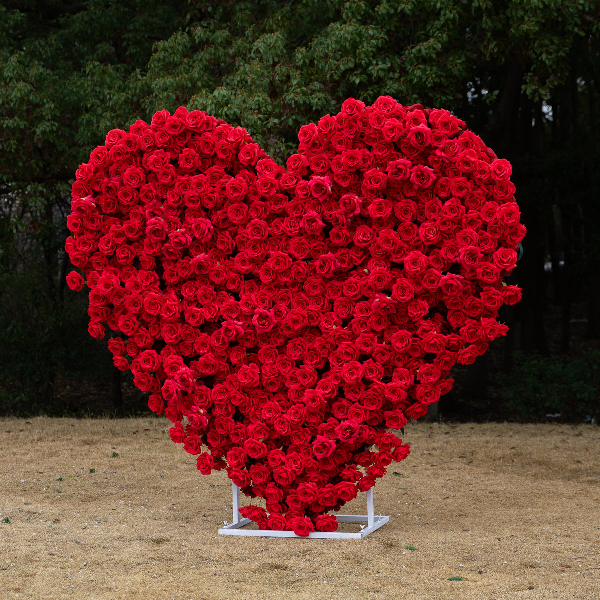 Passion: The Perfect Valentine’s Surprise Luxury 3D Red Rose Passion Heart Wall(6.2ft*6.9ft) Free Shipping